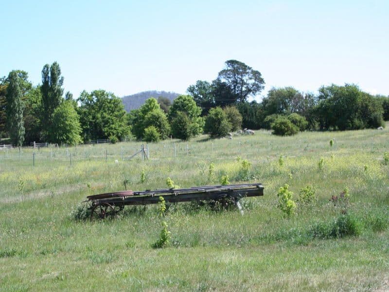 20 Glenmore Road, BRAIDWOOD NSW 2622, Braidwood - Thumbnail 4