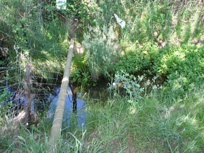 20 Glenmore Road, BRAIDWOOD NSW 2622, Braidwood - Thumbnail 5