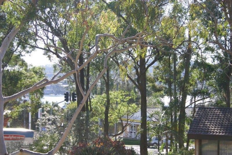 91 Clarence Street, Wallalong - Thumbnail 6