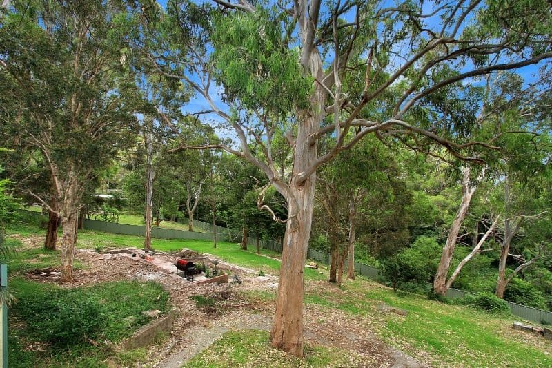 126 Iola Avenue, Farmborough Heights NSW 2526, Farmborough Heights - Image 1