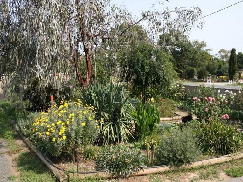 57 Francis Street, ROCHESTER VIC 3561, Rochester - Thumbnail 8