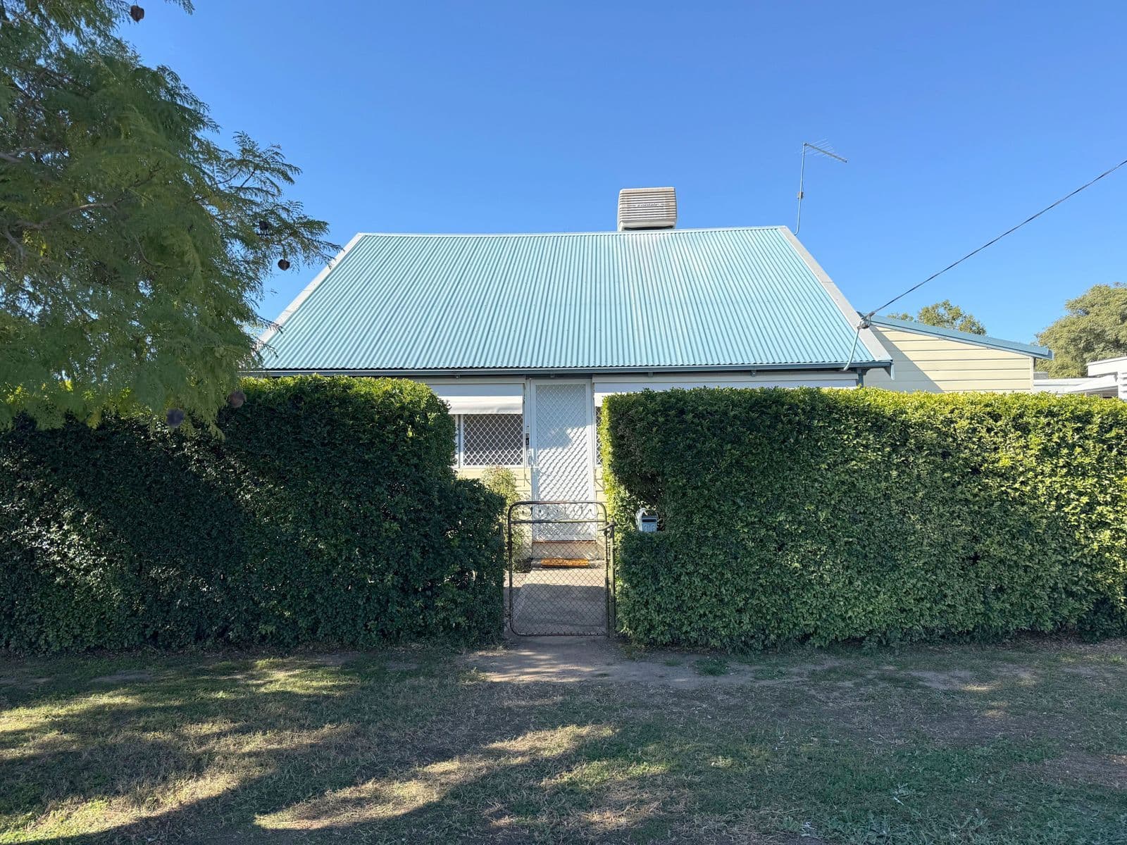 316 Morton Street, Moree NSW 2400, Moree - Image 1