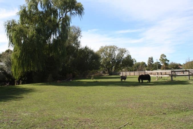 8 Monkittee Street, Braidwood NSW 2622, Braidwood - Image 1