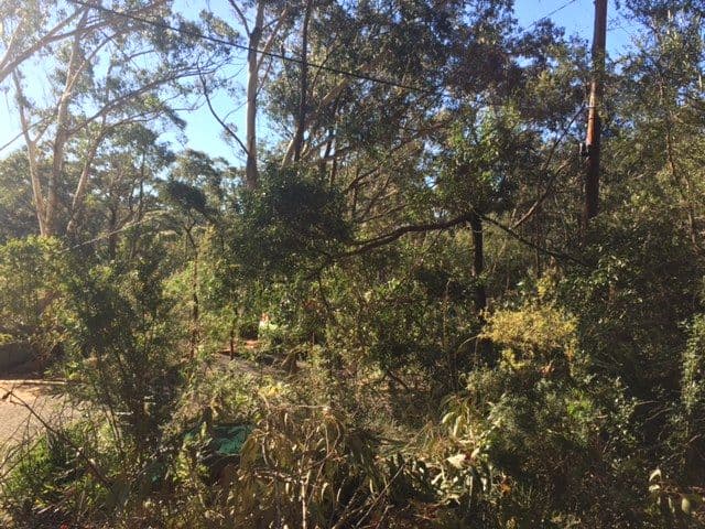 9 Godson Avenue, Blackheath NSW 2785, Blackheath - Thumbnail 2