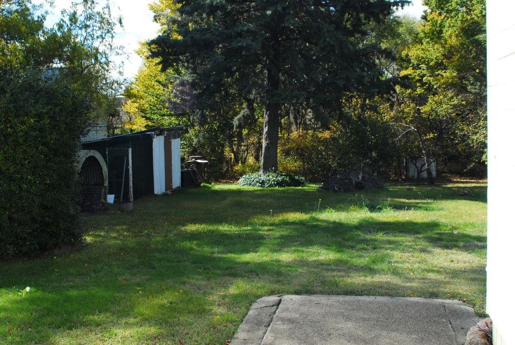 69 Myack Street, Berridale NSW 2628, Berridale - Thumbnail 4
