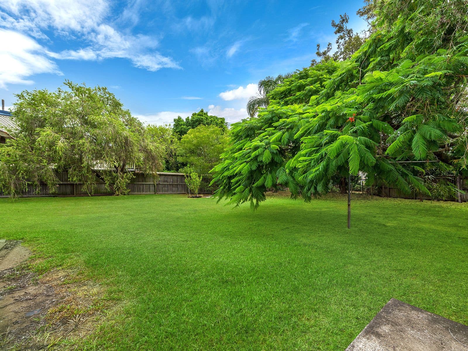 11 Marsh Street, Cannon Hill QLD 4170, Cannon Hill - Thumbnail 6