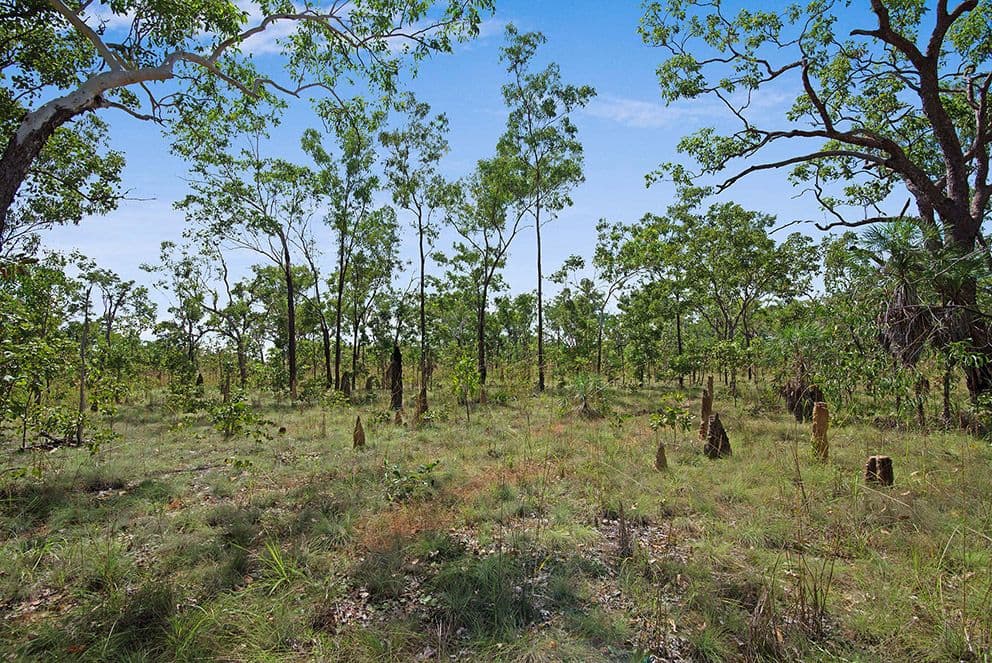 301 Stephen Road, Marrakai NT 0822, Marrakai - Image 1