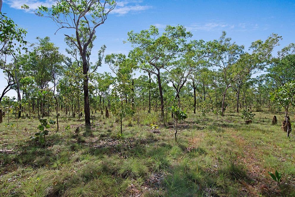 301 Stephen Road, Marrakai NT 0822, Marrakai - Thumbnail 2