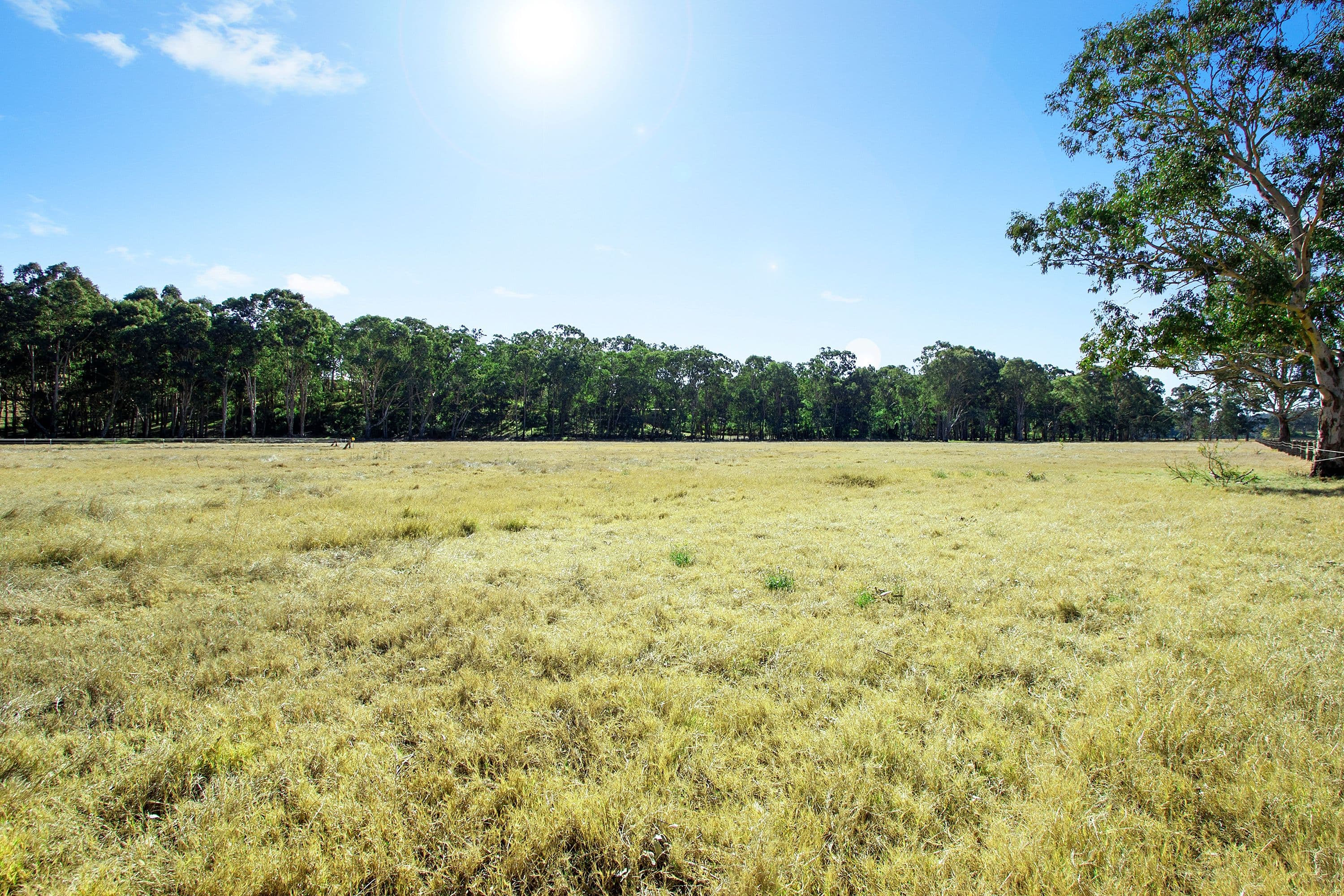 200 Royerdale Place, East Kurrajong - Thumbnail 5