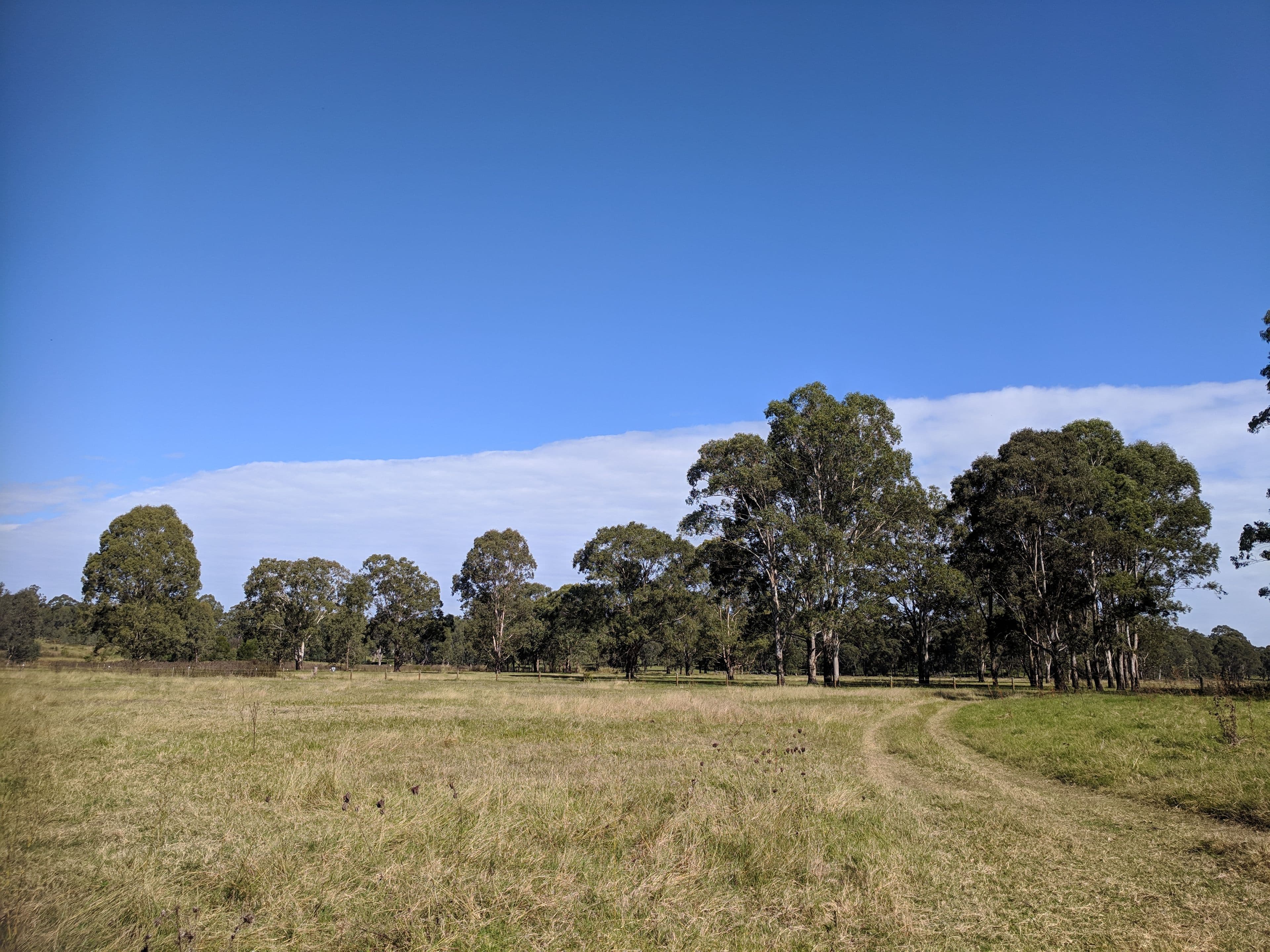 200 Royerdale Place, East Kurrajong - Thumbnail 6