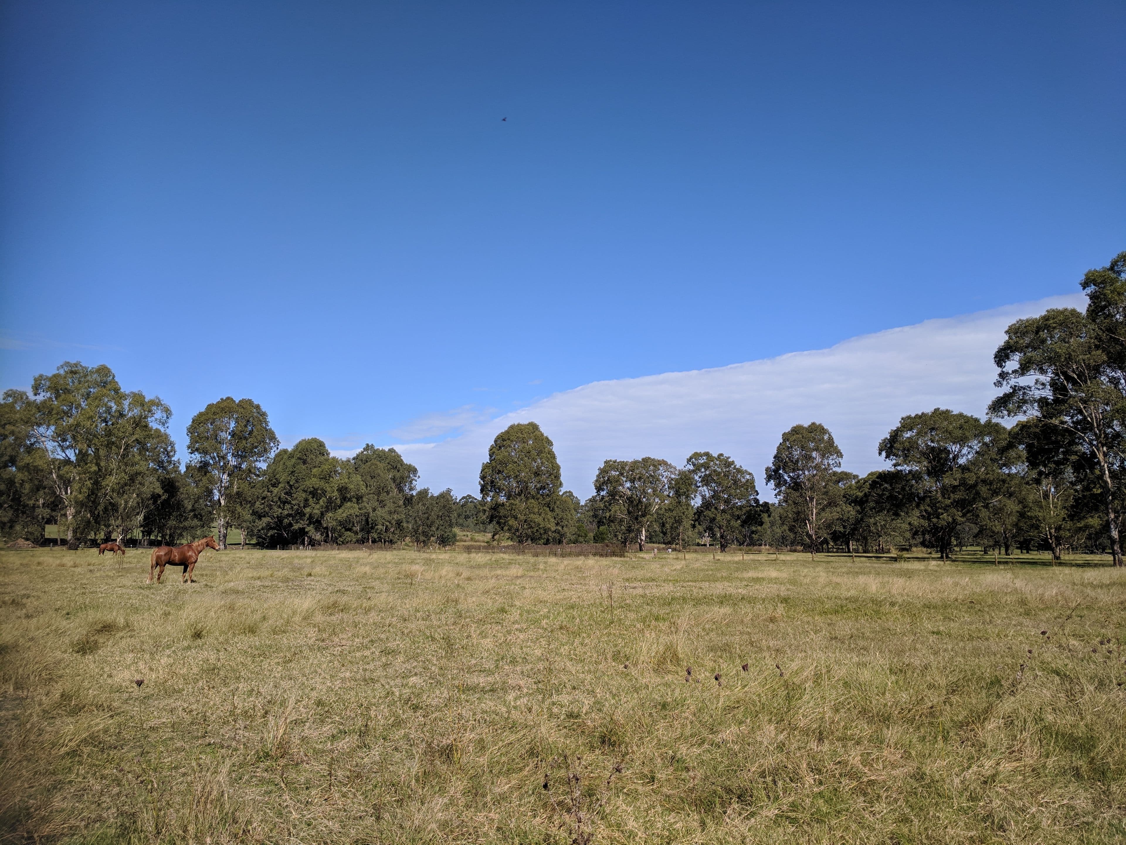 200 Royerdale Place, East Kurrajong - Thumbnail 7