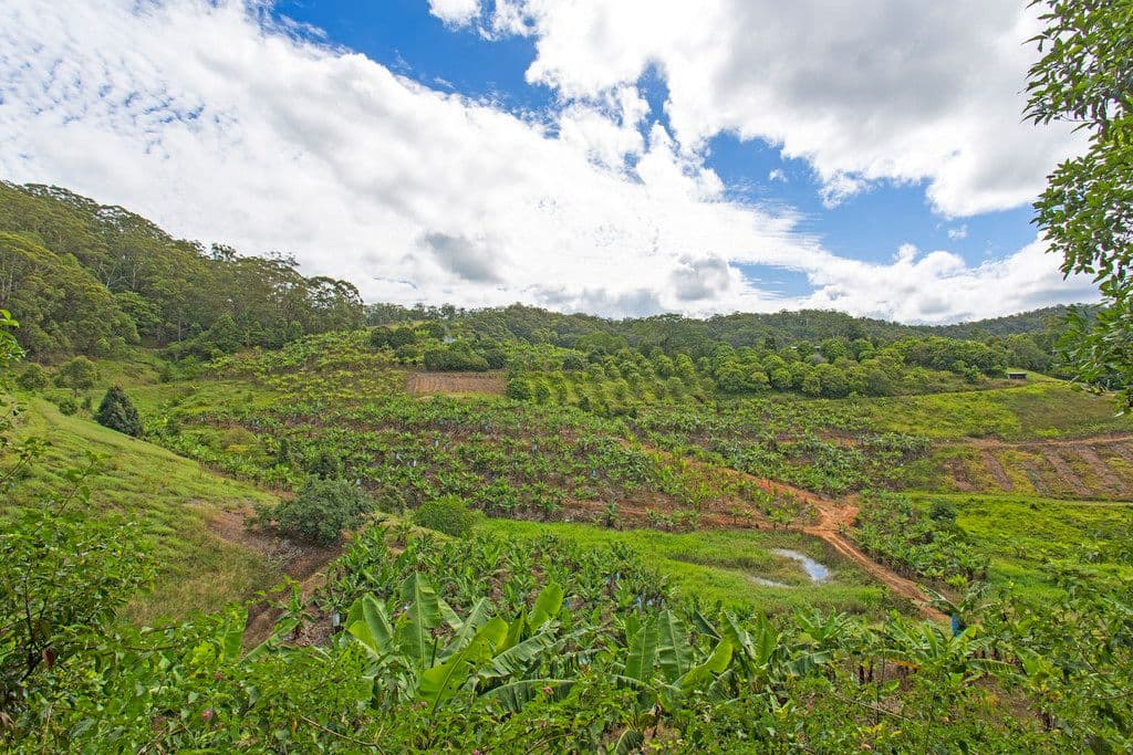 Lot 23 and 138 Cudgera Creek Road, CUDGERA CREEK NSW 2484, Cudgera Creek - Image 1