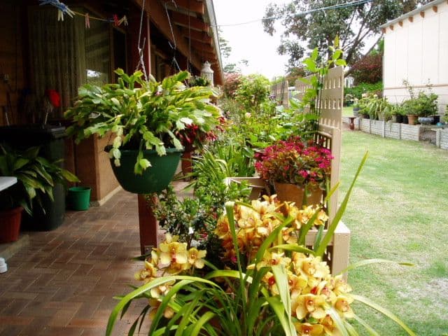 Lot 21 Perup Road, MANJIMUP WA 6258, Manjimup - Thumbnail 6