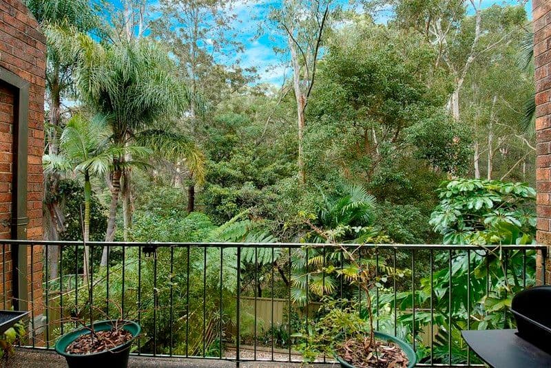 16 Robert Street, Telopea NSW 2117, Telopea - Thumbnail 7