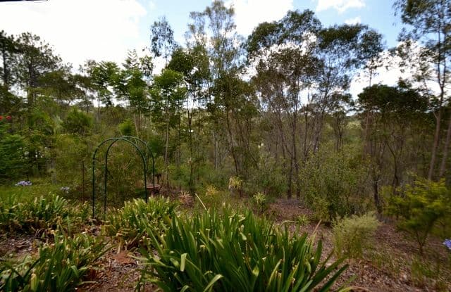 413 Connection Road, MOOLOOLAH VALLEY QLD 4553, Mooloolah Valley - Thumbnail 2