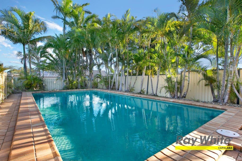 2 Rosehill Close, CAPALABA QLD 4157, Capalaba - Thumbnail 5