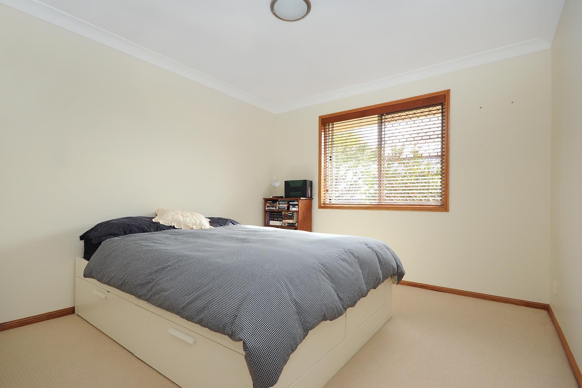 11 Kite Street, RANGEVILLE QLD 4350, Rangeville - Thumbnail 8