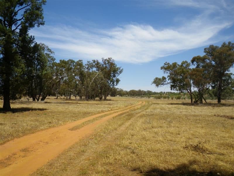 23R Wilfred Smith Drive, DUBBO NSW 2830, Dubbo - Thumbnail 3