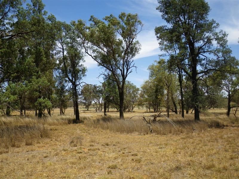 23R Wilfred Smith Drive, DUBBO NSW 2830, Dubbo - Thumbnail 5