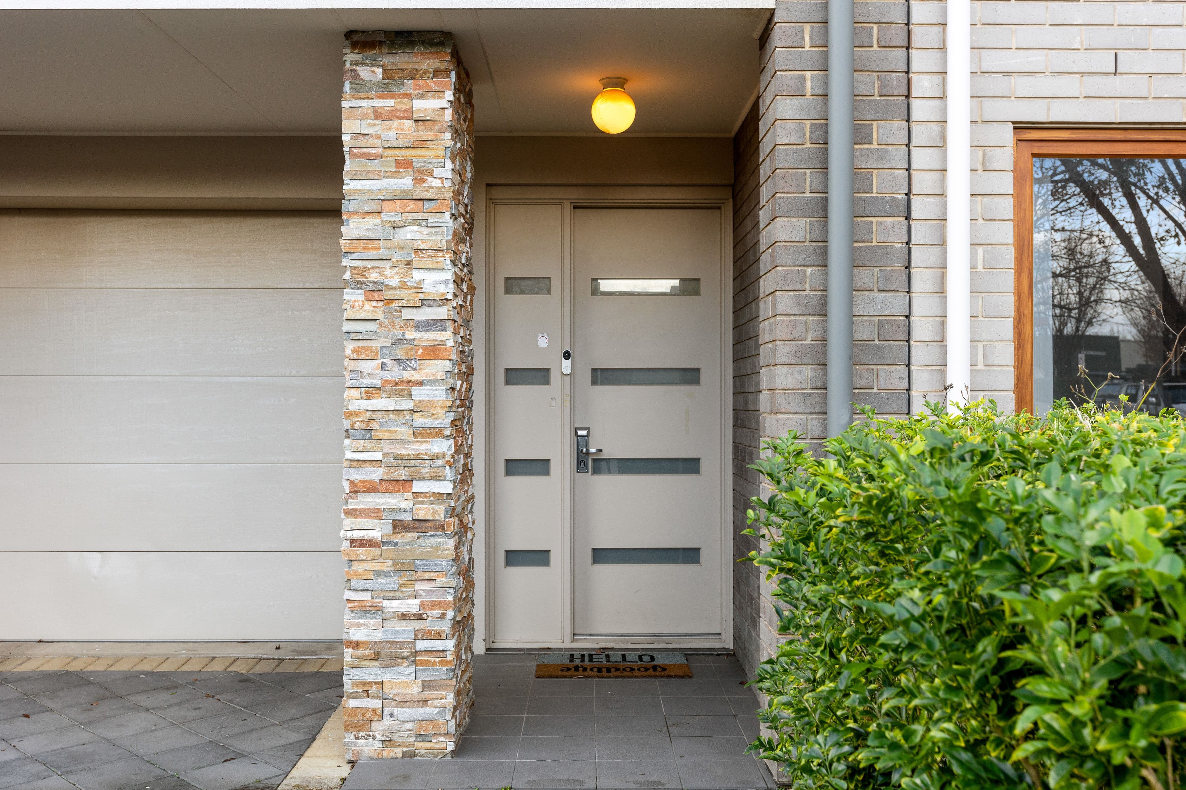 16 Palmer Street, Lightsview SA 5085, Lightsview - Thumbnail 3