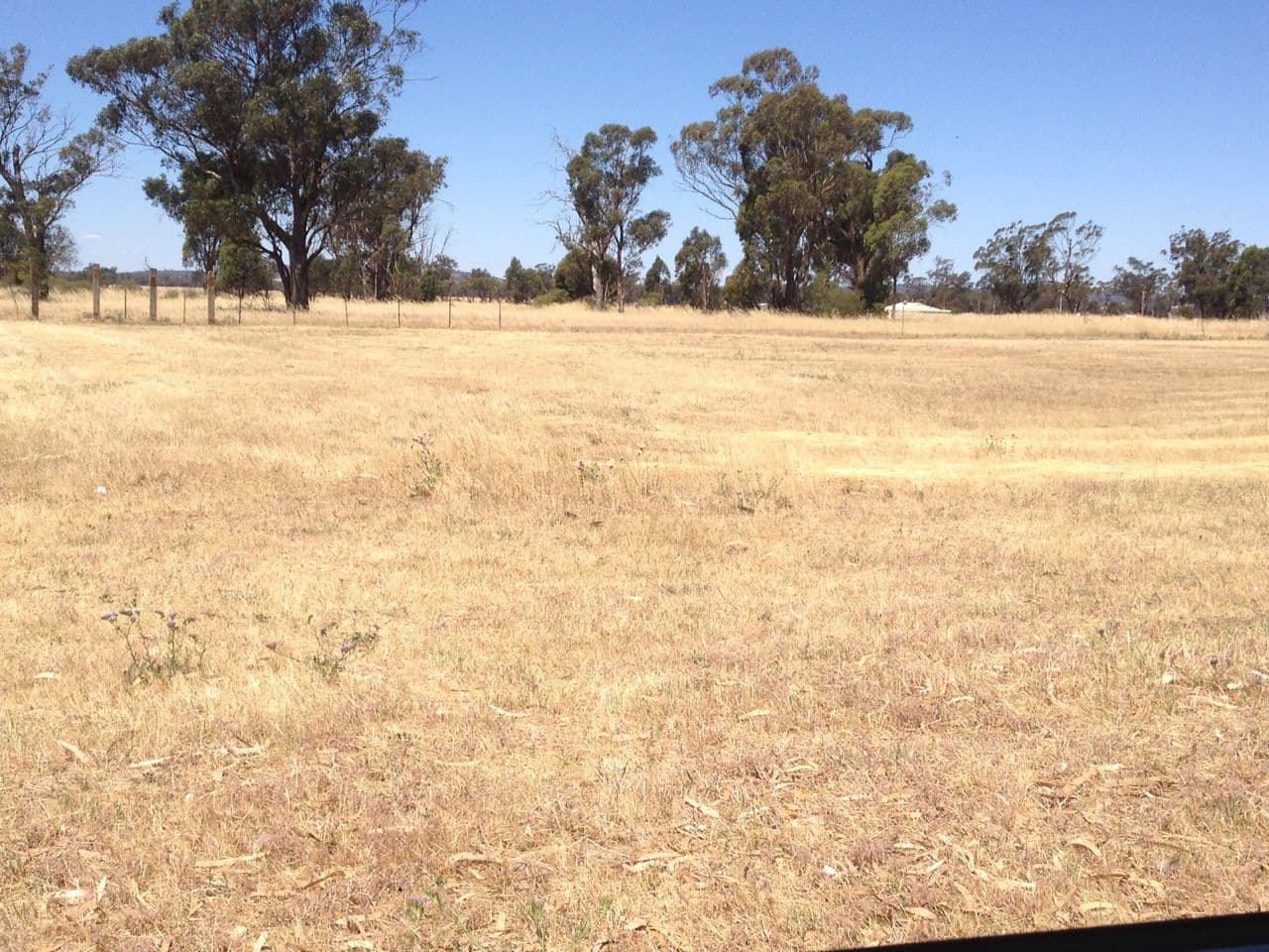 25 DeBoos Street, BARMEDMAN NSW 2668, Barmedman - Image 1