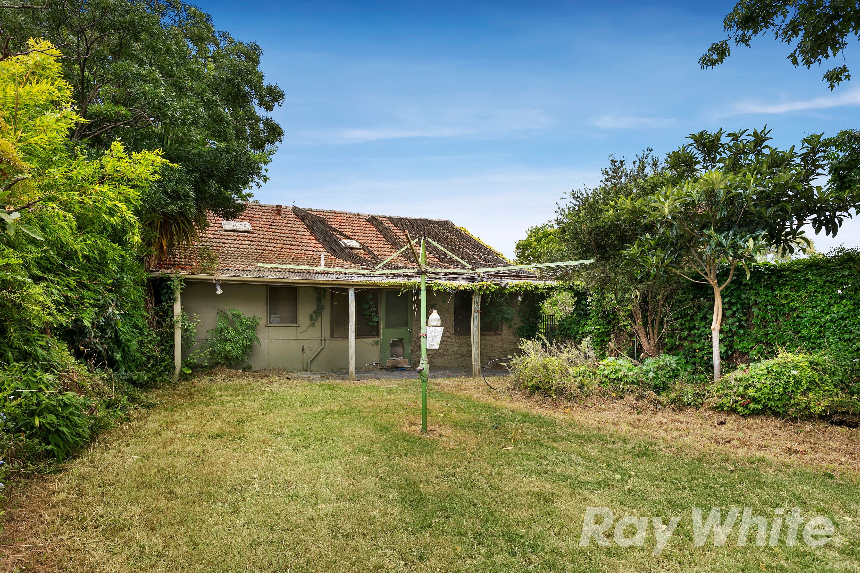 11 The Ridge, Glen Waverley VIC 3150, Glen Waverley - Thumbnail 2