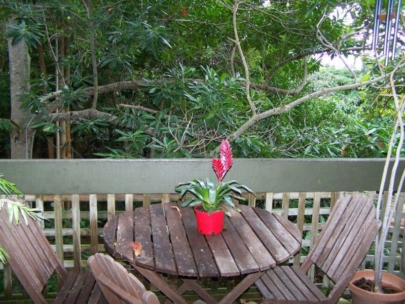 210 Graceful Boulevard, Alkimos, WA, 6038, Alkimos - Thumbnail 3