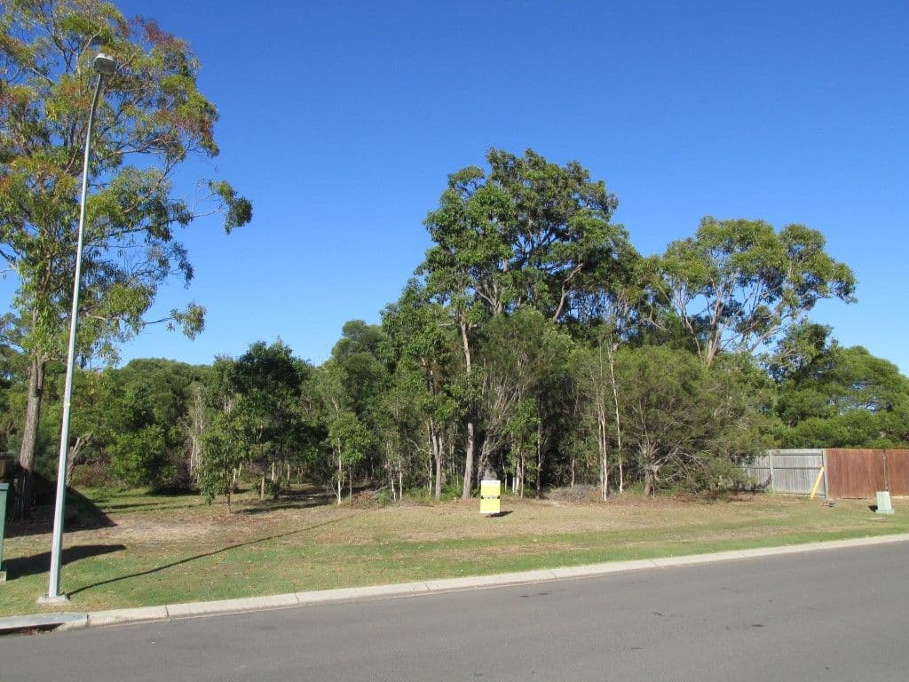 3 Calla Way, Wondunna QLD 4655, Wondunna - Thumbnail 5