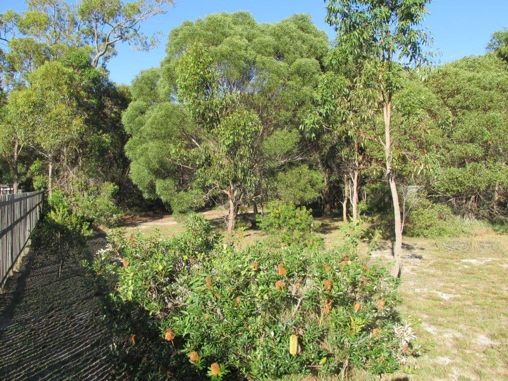 3 Calla Way, Wondunna QLD 4655, Wondunna - Thumbnail 6
