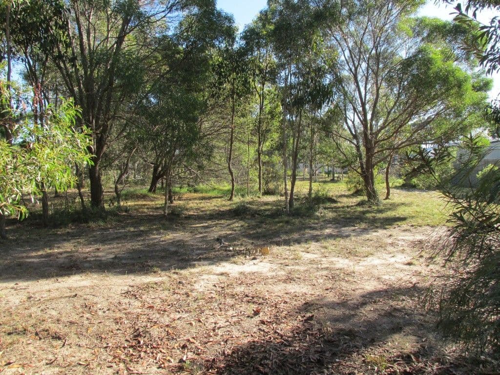 3 Calla Way, Wondunna QLD 4655, Wondunna - Thumbnail 7