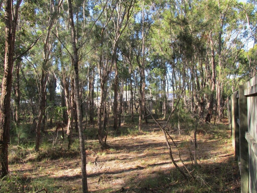 3 Calla Way, Wondunna QLD 4655, Wondunna - Thumbnail 8