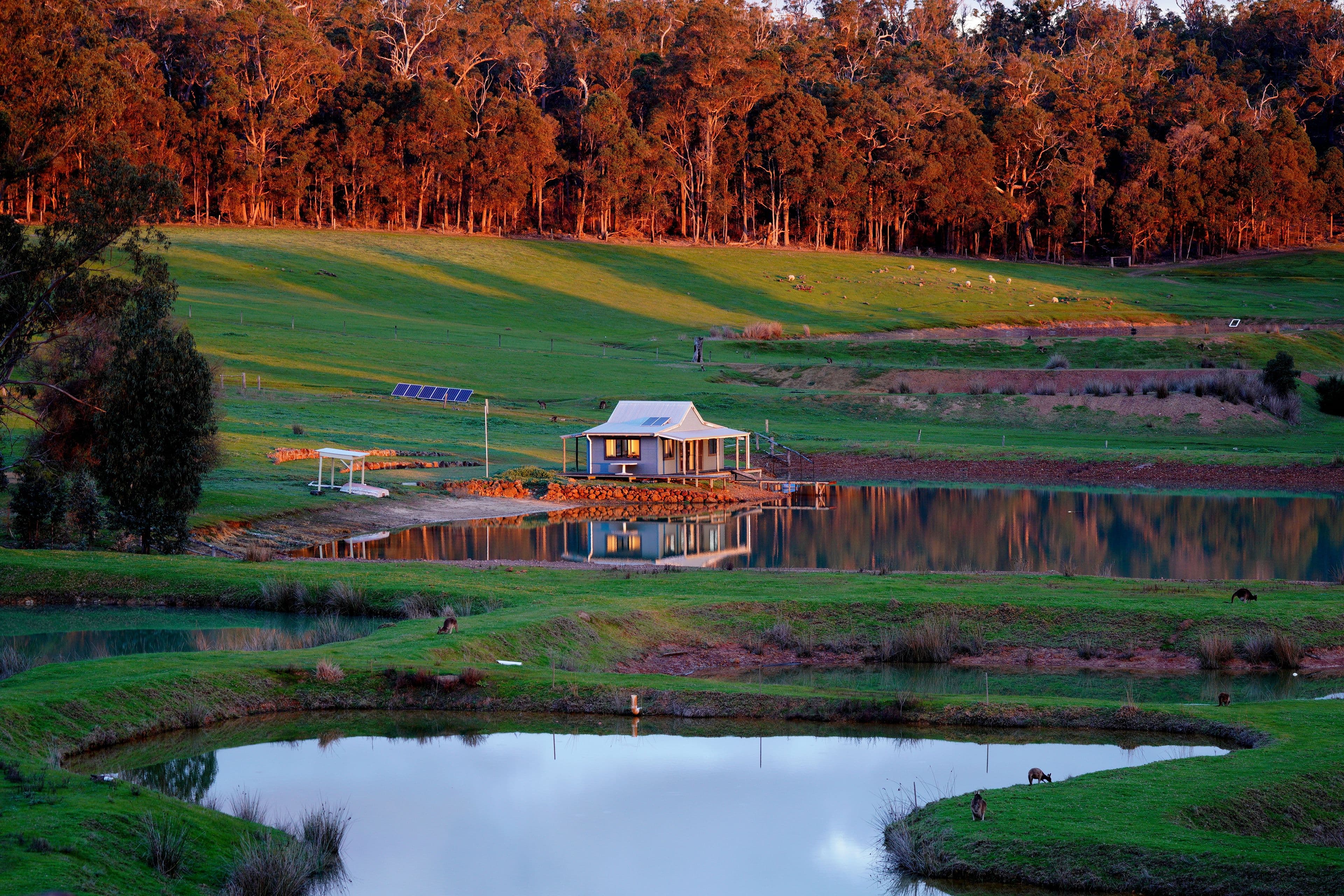 7397 Vasse Highway, Nannup WA 6275, Nannup - Thumbnail 3
