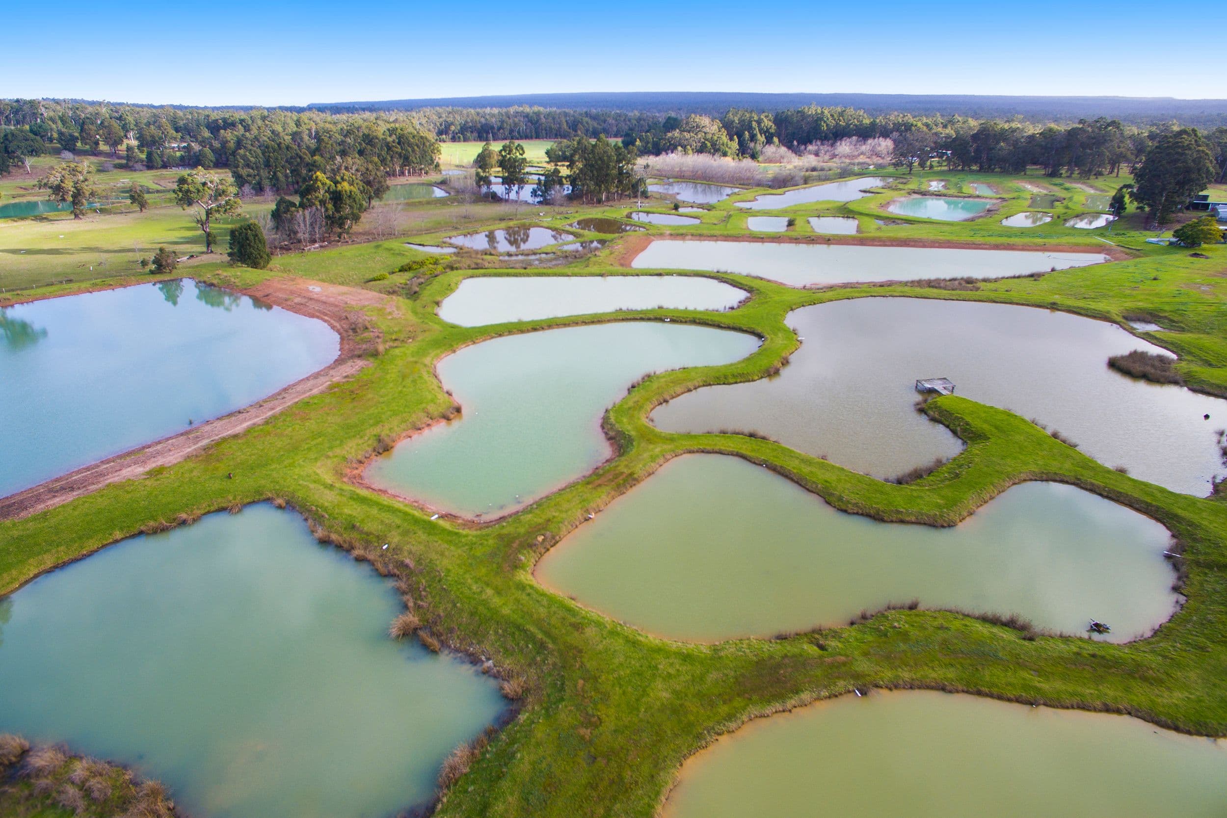 7397 Vasse Highway, Nannup WA 6275, Nannup - Thumbnail 5