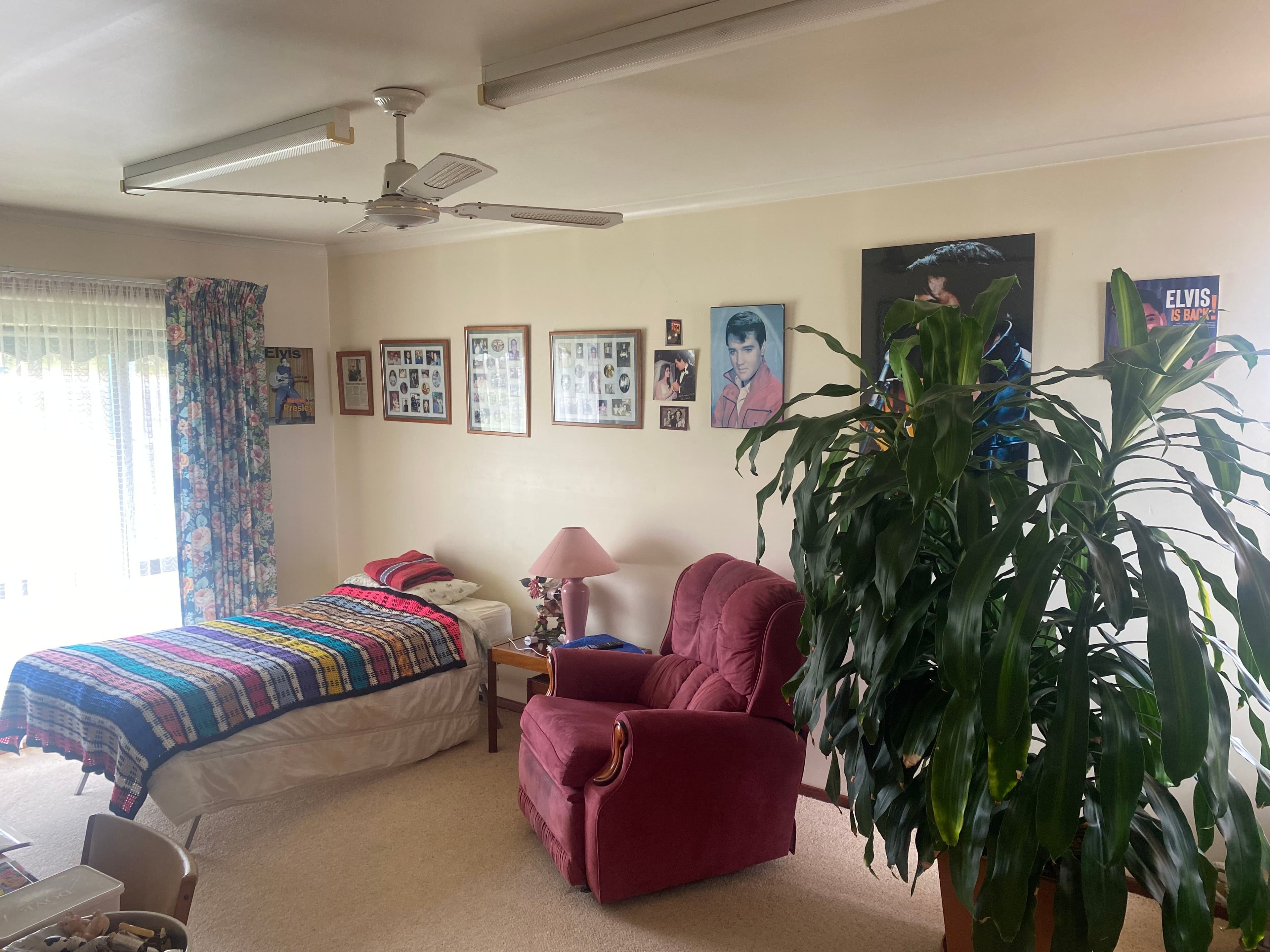 482 Lower King Road, Lower King WA 6330, Lower King - Thumbnail 8