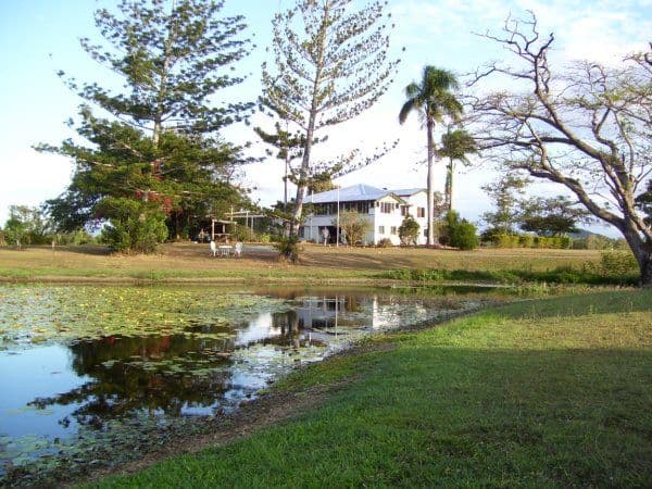 345 Bogga Road, MOUNT PELION QLD 4741, Mount Pelion - Image 1
