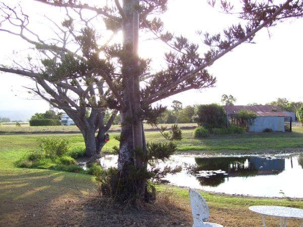 345 Bogga Road, MOUNT PELION QLD 4741, Mount Pelion - Thumbnail 2