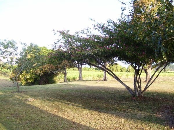 345 Bogga Road, MOUNT PELION QLD 4741, Mount Pelion - Thumbnail 6