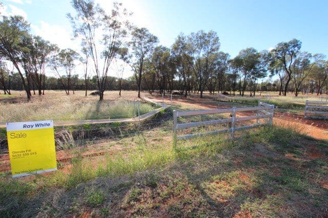 18 Murweh Drive, CHARLEVILLE QLD 4470, Charleville - Thumbnail 4