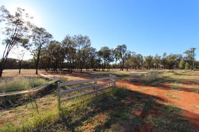 18 Murweh Drive, CHARLEVILLE QLD 4470, Charleville - Thumbnail 5