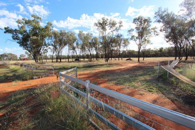 18 Murweh Drive, CHARLEVILLE QLD 4470, Charleville - Thumbnail 6