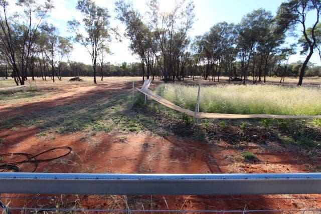 18 Murweh Drive, CHARLEVILLE QLD 4470, Charleville - Thumbnail 7