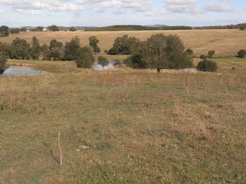 Lot 241 Hecks Road, GLAMORGAN VALE QLD 4306, Glamorgan Vale - Thumbnail 5