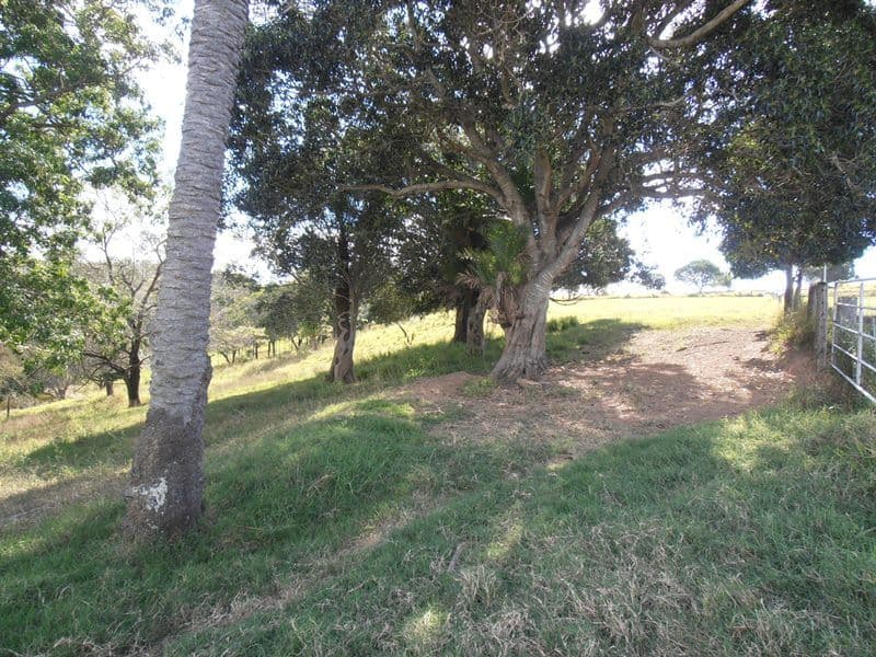 Lot 241 Hecks Road, GLAMORGAN VALE QLD 4306, Glamorgan Vale - Thumbnail 6