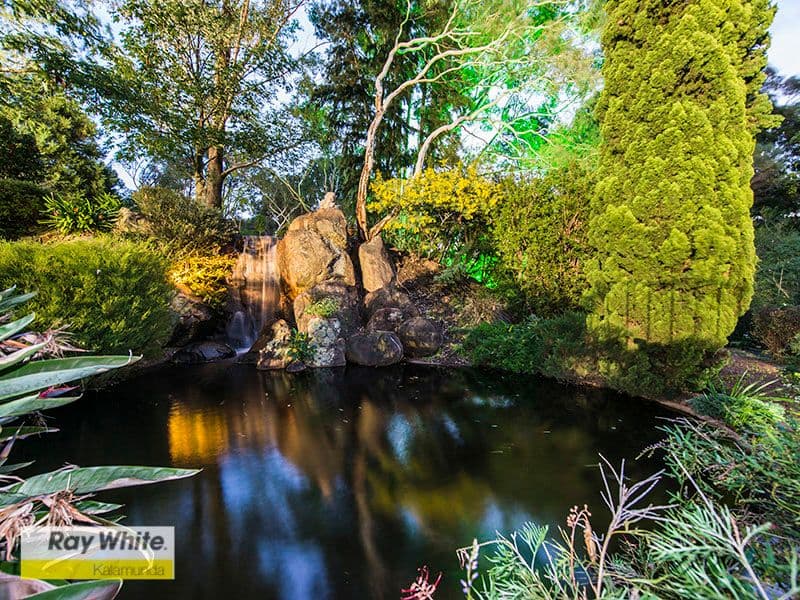 35 Barbigal Place, Lesmurdie WA 6076, Lesmurdie - Thumbnail 5