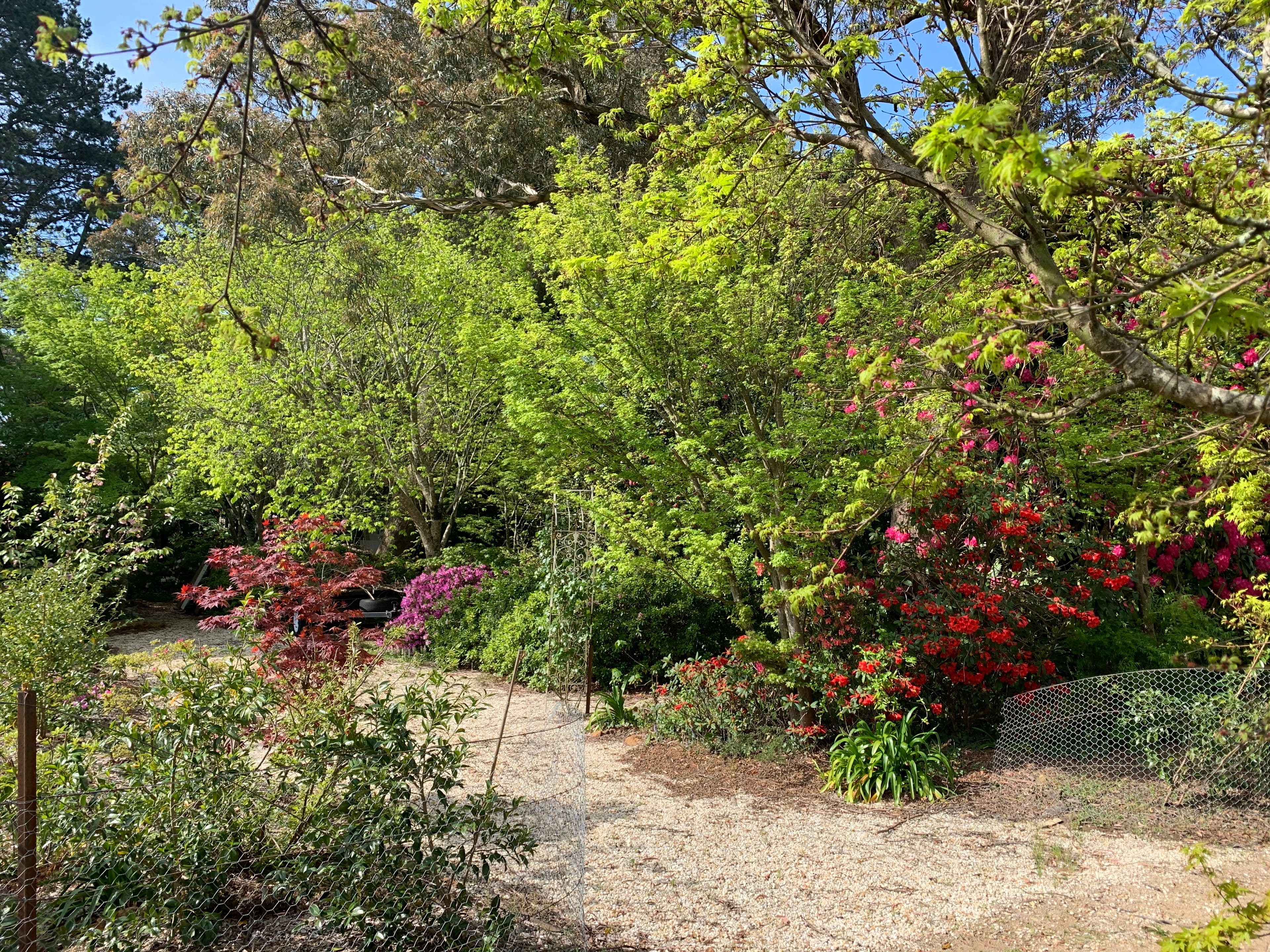 66 Evans Lookout Road, Blackheath NSW 2785, Blackheath - Thumbnail 2