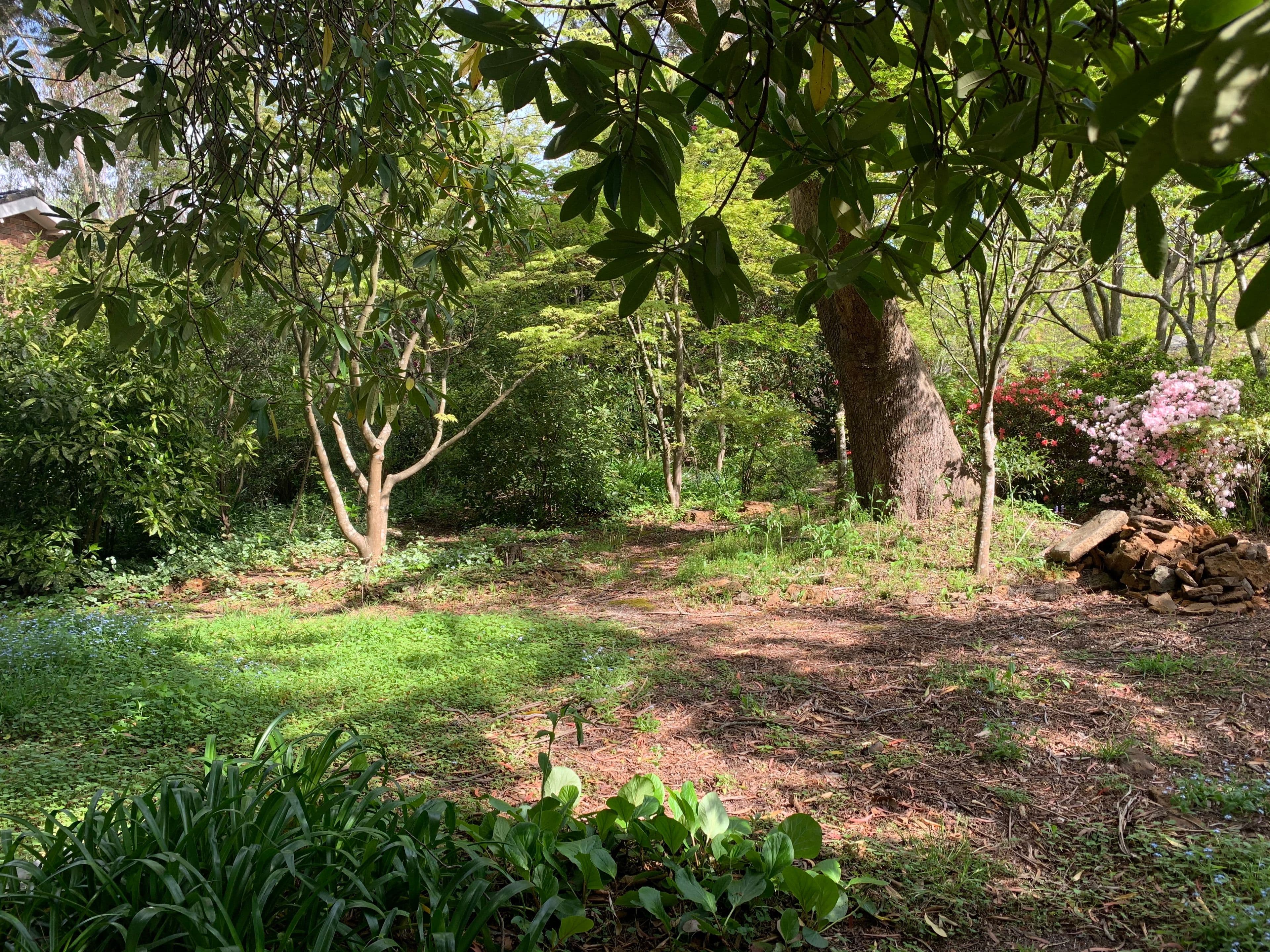 66 Evans Lookout Road, Blackheath NSW 2785, Blackheath - Thumbnail 3