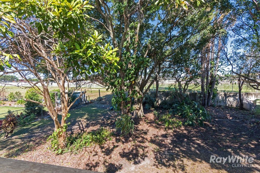 76 Mein Street, Hendra QLD 4011, Hendra - Thumbnail 6