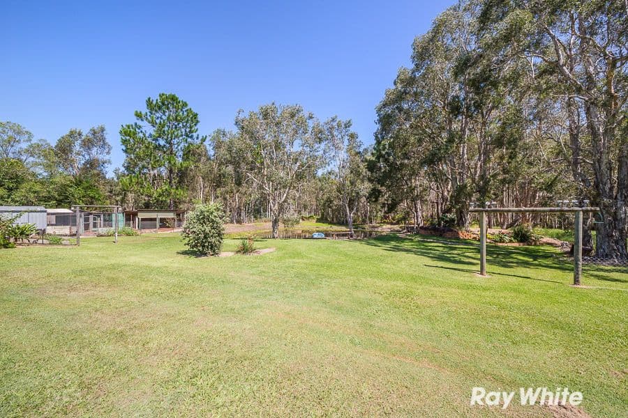 48 Lever Court, Ningi QLD 4511, Ningi - Thumbnail 8