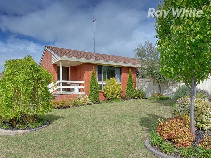 11 Bogong Street, THURGOONA NSW 2640, Thurgoona - Image 1