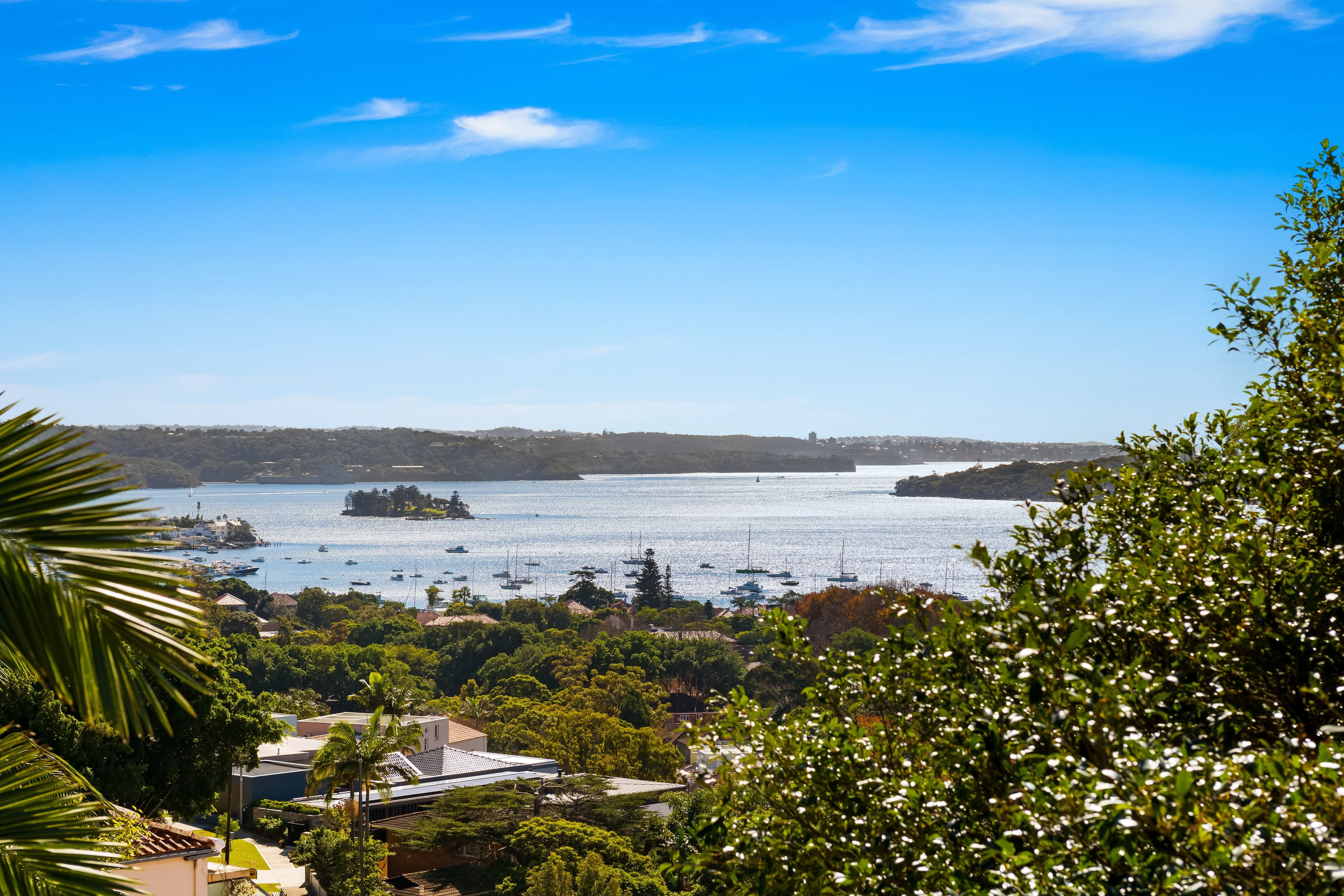 63-65 Drumalbyn Road, Bellevue Hill NSW 2023, Bellevue Hill - Thumbnail 3